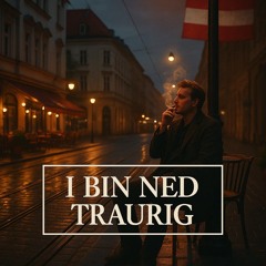 I Bin Ned Traurig