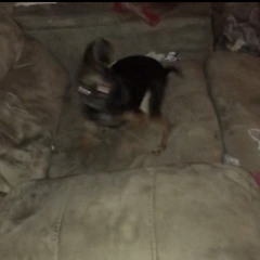 jazzy wit it (prod.13stix)