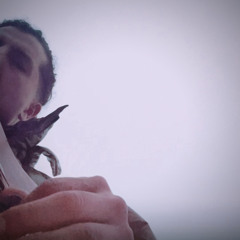 Day Began - Day 25 .m4a