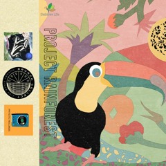Project Rainforest : Lakeside Collective, Patiotic Records & Brunch Collect