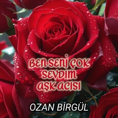 Ben Seni Çok Sevdim Aşk Acısı
