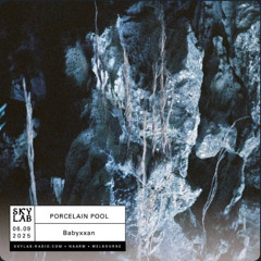 Skylab: Porcelain Pool Ep. 37: the heart goes dub dub dub
