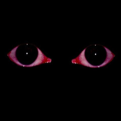 i see you everywhere (seeita100)