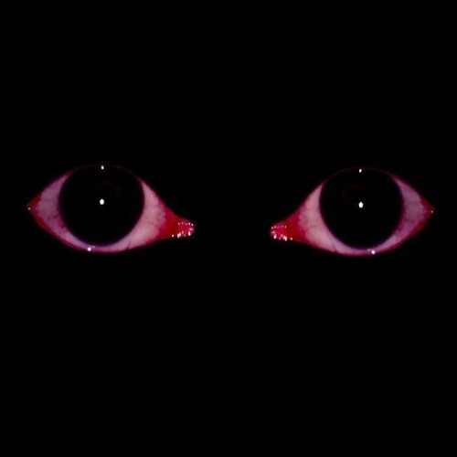 i see you everywhere (seeita100)