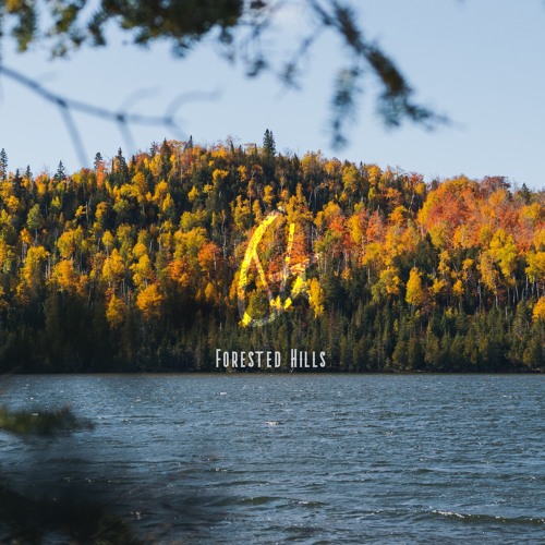 Forested Hills album cover