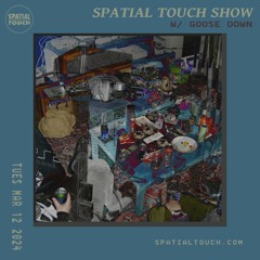 The Spatial Touch Show (w/ Goose Down) 3-12-24