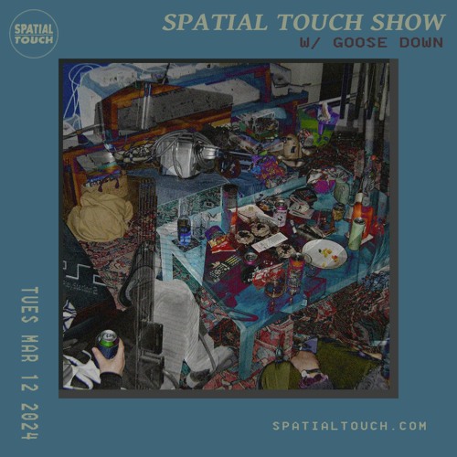 The Spatial Touch Show (w/ Goose Down) 3-12-24