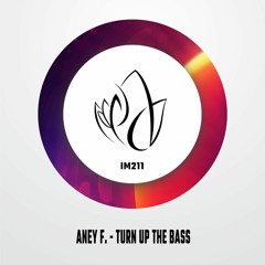 Aney F. - Turn Up The Bass (Original Mix) - Innocent Music