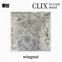 CLIX - wingnut