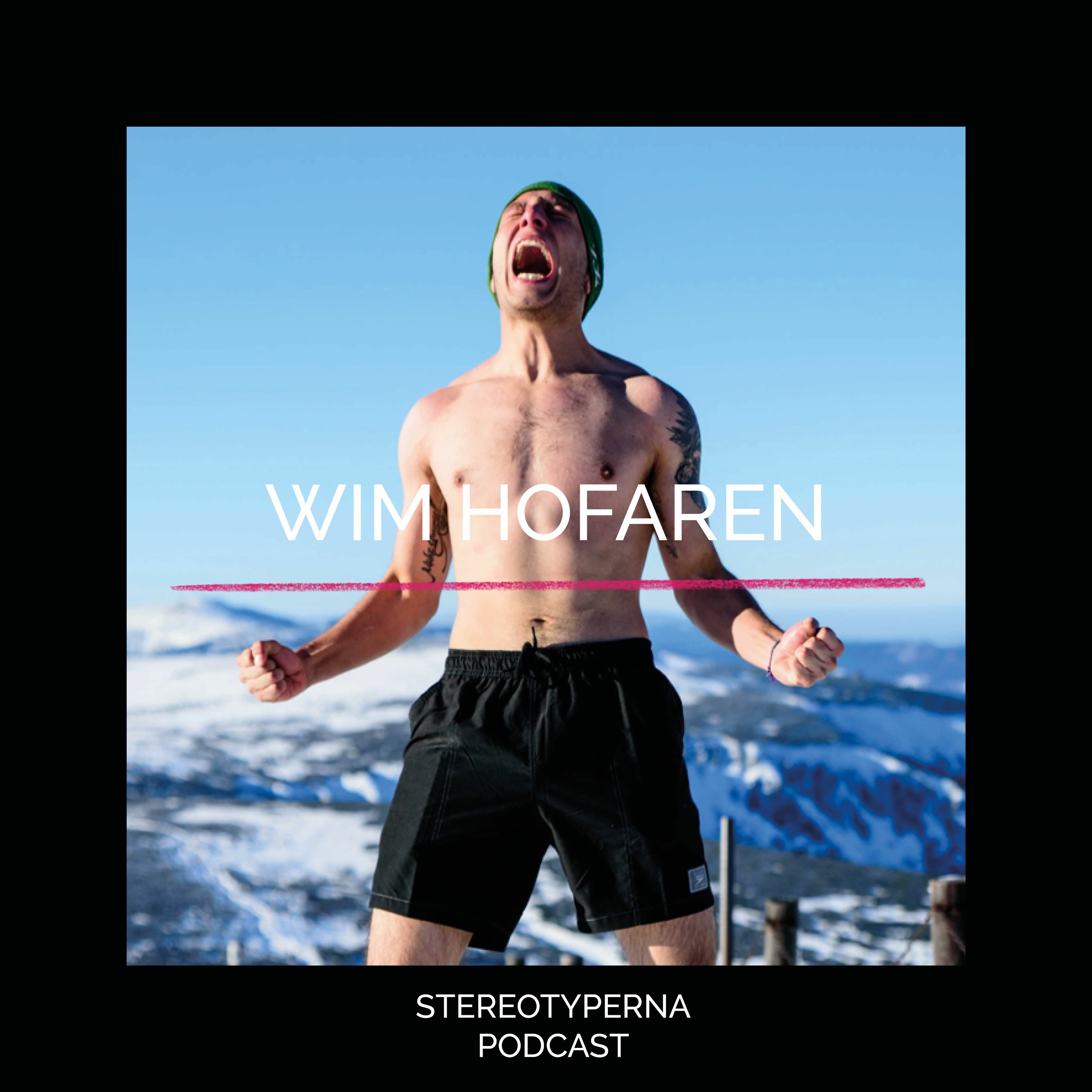 Stereotyperna