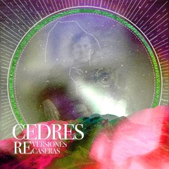 Virtudes // Defectos (RE VERSIONES RE CASERAS x Cecy Leos)