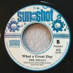 The Tidals- Have a Great Day
