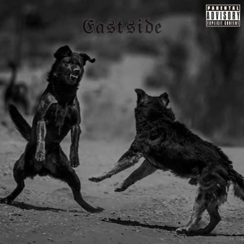 Quo Rapper Stream EAST $IDE (prod. QUO & Chris Ruiz) by QUO | Listen online for ...