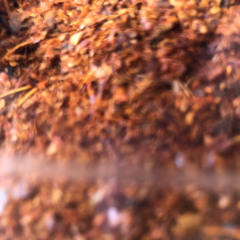 du ringer lige i det jeg står