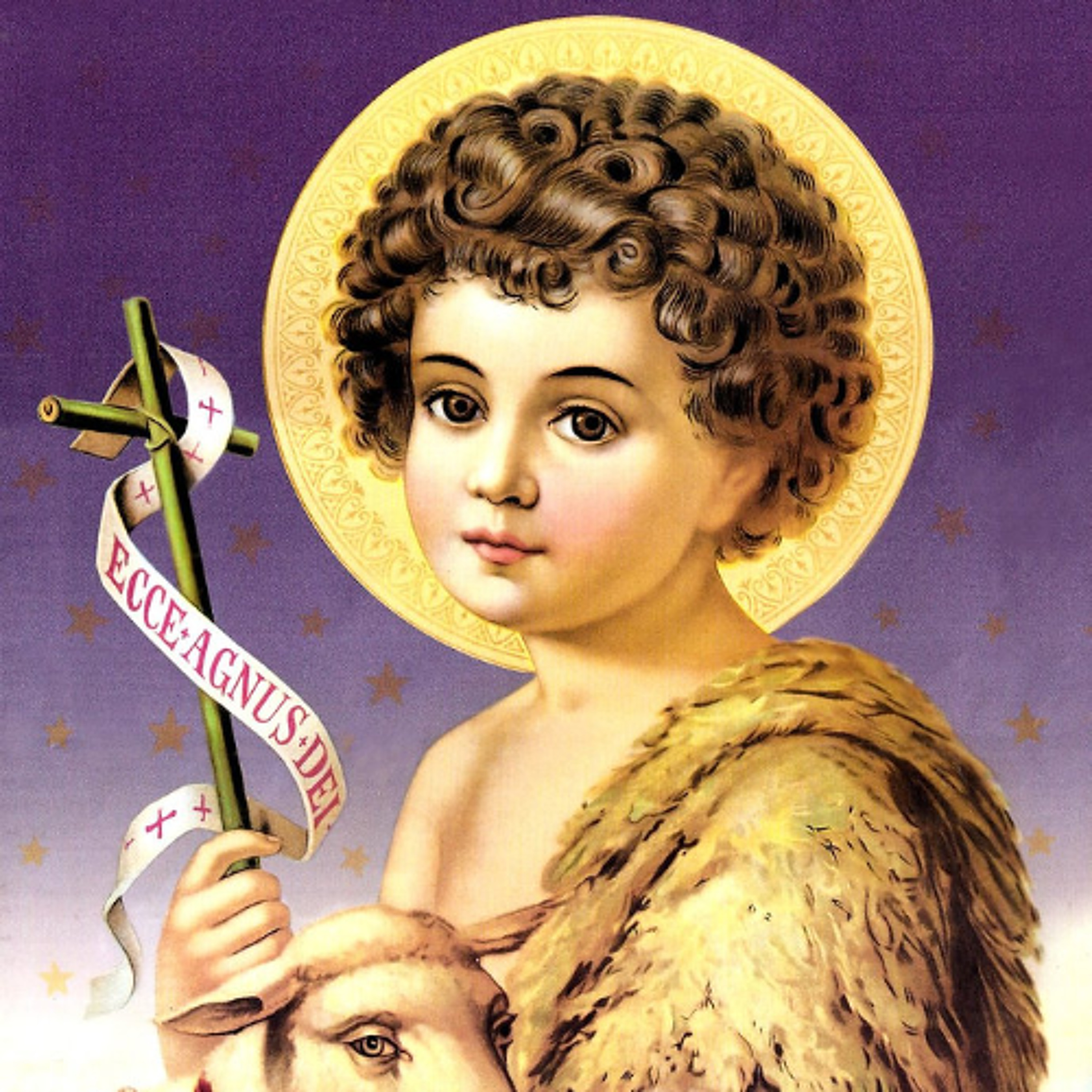 Santo do Dia - Solenidade do Nascimento de João Batista (24/06) episode artwork