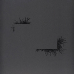 Ambience From The Future