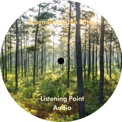 Listening Point Audio - Dawn Under the Pines