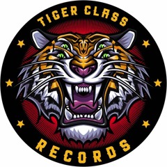Dubmentalist "Orbital" (Preview)OUT NOW free dl on Tiger Class Records