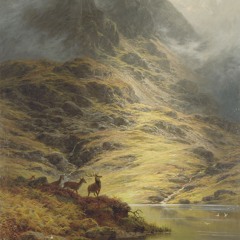 Espíritus Del Norte