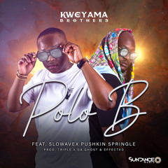 Polo B (feat. Slowavex, Pushkin & Springle)