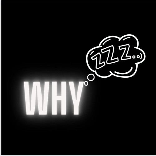 Its A Fine KinghtRider