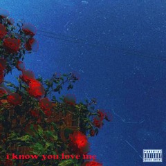 i know you love me (prod. VITALS)