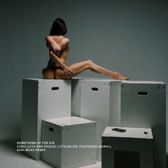 22Bullets & Pascal Letoublon feat. MERYLL - "Something In The Air" (Audi Meae Remix)