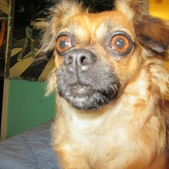 Spadfaddle Monster Battle