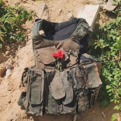 قُل للشَّهادةِ أنتِ حُبُّ مُتيَّمٍ!