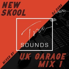 Tru Sounds - New Skool UK Garage Mix 1