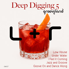 01. Luchi & Raizer - Groove on and Dance along (Original Mix)