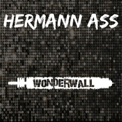 Wonderwall (Oasis punk cover)