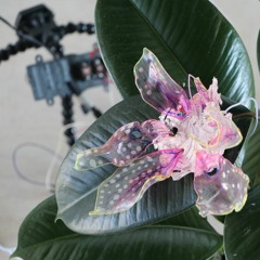 Datasonifiedhouseplant: mitochondricselfawarenessfeedbacklooplightspectrumvegetalexistentialcrisis