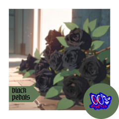 Black Pedals