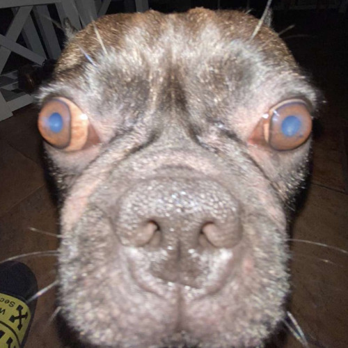 Anderex - Mind Control (Live Edit)