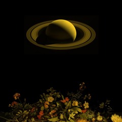 Szmt - You Can Safely Ignore The Arts And Sciences - They Never Helped Anybody (Panda Lassow Remix)