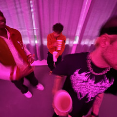 største fuglen brrr