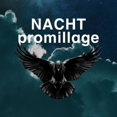 Nacht Promillage (soft techno/melodic)