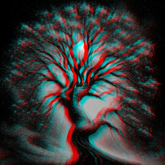 Forest Groove I