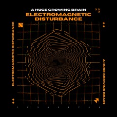 AHGB - Electromagnetic Disturbance