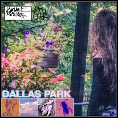 Dallas Park (Prod. Michael Sativa) [REMASTERED]