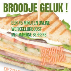 S5#94 Broodjegeluk 8 zin en onzin van werkgeluk