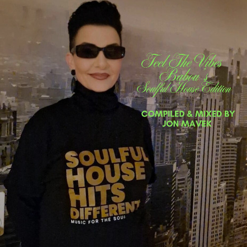 Feel The Vibes - Babou's Soulful House Edition