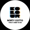Norty Cotto - What I Used To Do (Dubworx Mix)