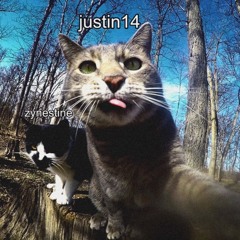 shattered interstellar - justin14, zynestine