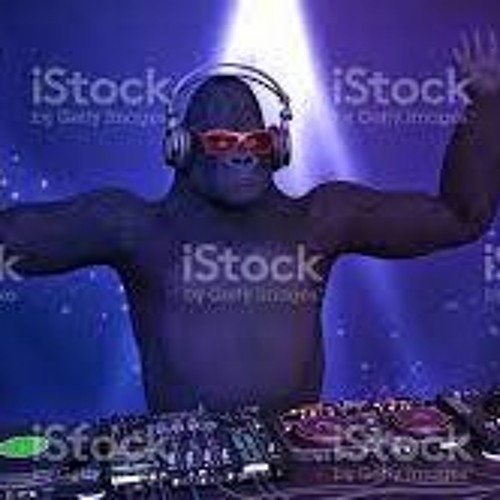Techno in the jungle type beet ( ft mozart)