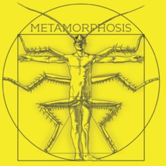 //METAMORPHOSIS// 432 HZ