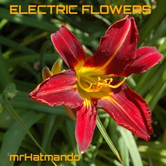 Electric Flowers