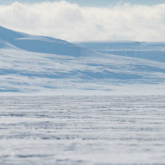 Frozen Tundra Adventure