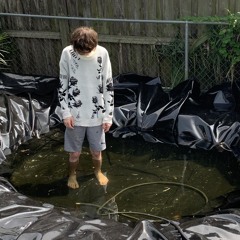 Dead Man In The Koi Pond